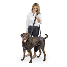 Charger l'image dans la galerie, Harnais de levage CareLift™ de PetSafe®