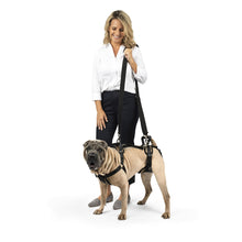 Charger l'image dans la galerie, Harnais de levage CareLift™ de PetSafe®