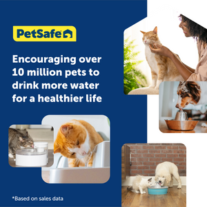 Filtres en mousse pour fontaines pour animaux de compagnie, paquet de 2
