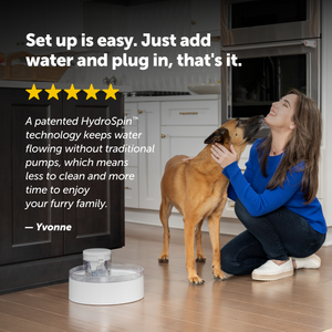 Outlast™ 128 oz Pumpless Pet Fountain