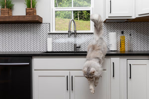 Spray répulsif automatique pour animaux de compagnie SSSCAT®
