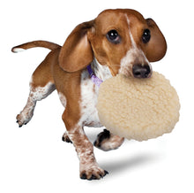 Load image into Gallery viewer, Busy Buddy® Pogo Plush® Ball
