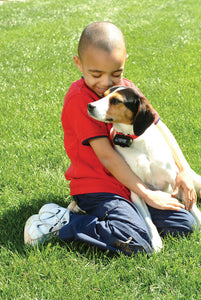 Bark Control Collar