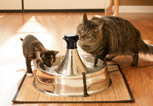 Load image into Gallery viewer, Drinkwell® 360 Stainless Steel Pet Fountain
