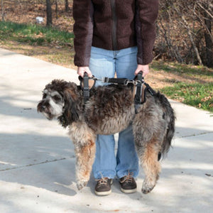 CareLift Full Body Harness