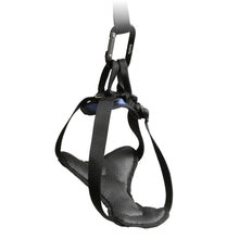 Load image into Gallery viewer, Deluxe Vehicle Safety Harness
