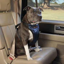 Load image into Gallery viewer, Deluxe Vehicle Safety Harness
