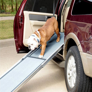 Side Door Adaptor for Ramp