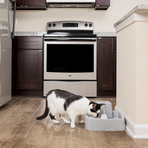 Drinkwell® 3.7 litre Pet Fountain