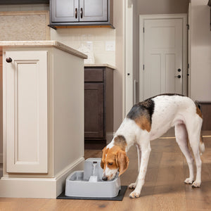 Drinkwell® 3.7 litre Pet Fountain