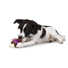 Load image into Gallery viewer, Busy Buddy™ Bouncy Bone™
