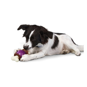 Busy Buddy™ Bouncy Bone™