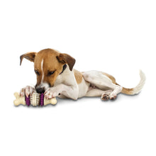 Load image into Gallery viewer, Rawhide Treat Ring Refills
