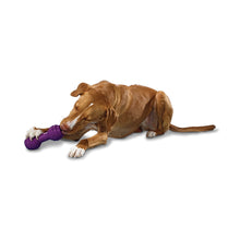 Load image into Gallery viewer, Busy Buddy Chuckle
