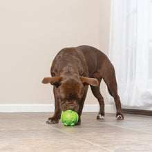 Load image into Gallery viewer, Busy Buddy Elephunk
