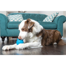 Load image into Gallery viewer, Busy Buddy Hippster
