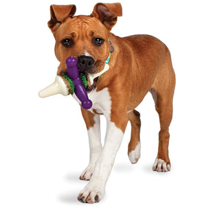 Busy Buddy™ Jack