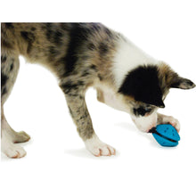 Load image into Gallery viewer, Busy Buddy® Puppy Twist &#39;n Treat™
