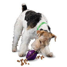 Load image into Gallery viewer, Busy Buddy Twist &#39;n Treat
