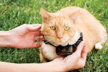 Load image into Gallery viewer, Deluxe In-Ground Cat Fence™ System
