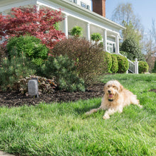 Load image into Gallery viewer, YardMax® Cordless In Ground Fence™
