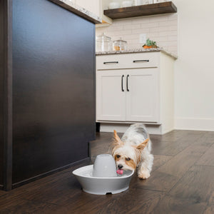 Streamside Ceramic Pet Fountain