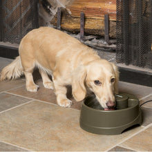 Load image into Gallery viewer, Current Pet Fountain
