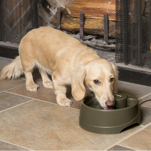 Current Pet Fountain