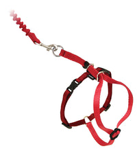 Load image into Gallery viewer, Easy Walk® Cat Harness &amp; Lead
