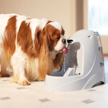 Load image into Gallery viewer, Drinkwell® Platinum Pet Fountain
