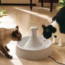 Load image into Gallery viewer, Drinkwell® 360 Plastic Pet Fountain
