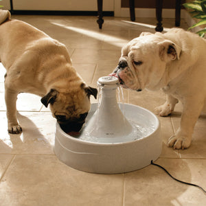 Drinkwell® 360 Plastic Pet Fountain