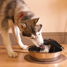 Load image into Gallery viewer, Drinkwell® Zen Fountain

