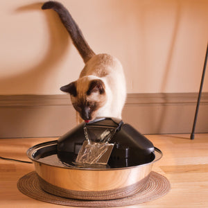 Drinkwell® Zen Fountain