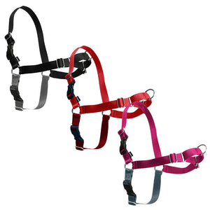 Easy Walk® Harness