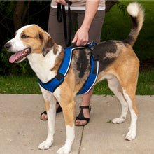 Load image into Gallery viewer, EasySport™ Harness
