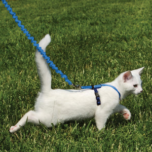 Easy Walk® Cat Harness & Lead