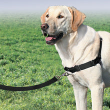 Load image into Gallery viewer, Easy Walk® Harness
