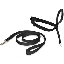 Load image into Gallery viewer, Easy Walk® Headcollar
