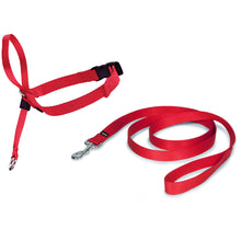 Load image into Gallery viewer, Easy Walk® Headcollar
