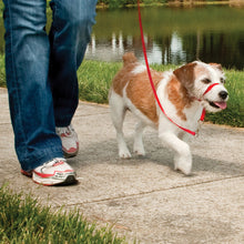 Load image into Gallery viewer, Easy Walk® Headcollar
