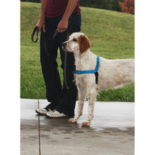 Load image into Gallery viewer, Easy Walk® Deluxe Harness
