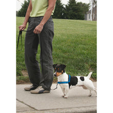 Load image into Gallery viewer, Easy Walk® Deluxe Harness
