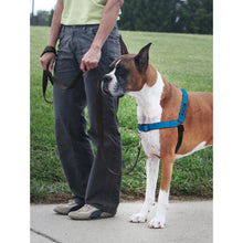 Load image into Gallery viewer, Easy Walk® Deluxe Harness
