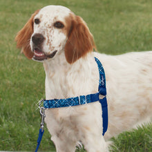 Load image into Gallery viewer, Easy Walk® Bling Harness
