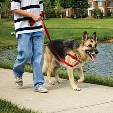 Load image into Gallery viewer, Easy Walk® Harness
