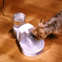 Load image into Gallery viewer, Drinkwell® Original Pet Fountain
