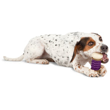 Load image into Gallery viewer, Busy Buddy® Nobbly Nubbly™
