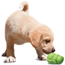 Load image into Gallery viewer, Busy Buddy™ Puppy Squirrel Dude™
