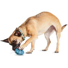 Load image into Gallery viewer, Busy Buddy™ Puppy Twist &#39;n Treat™
